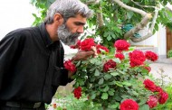 بخش چهاردهم: غربالگری خاموش